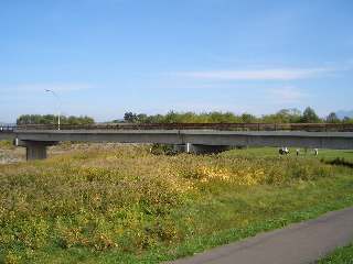 ���_�y��