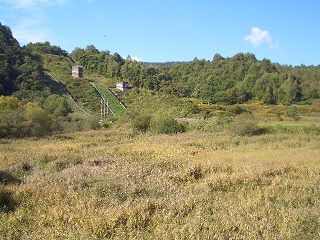 ���R�X�L�[��