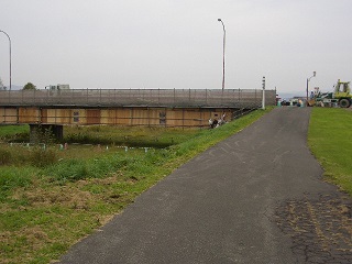 �����f�B�[��