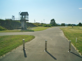 �p�[�N�S���t��